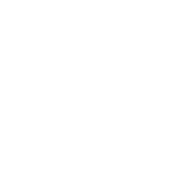 StormyOps Logo